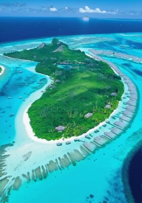 Experience Zanzibar’s nickname “The Spice Island.