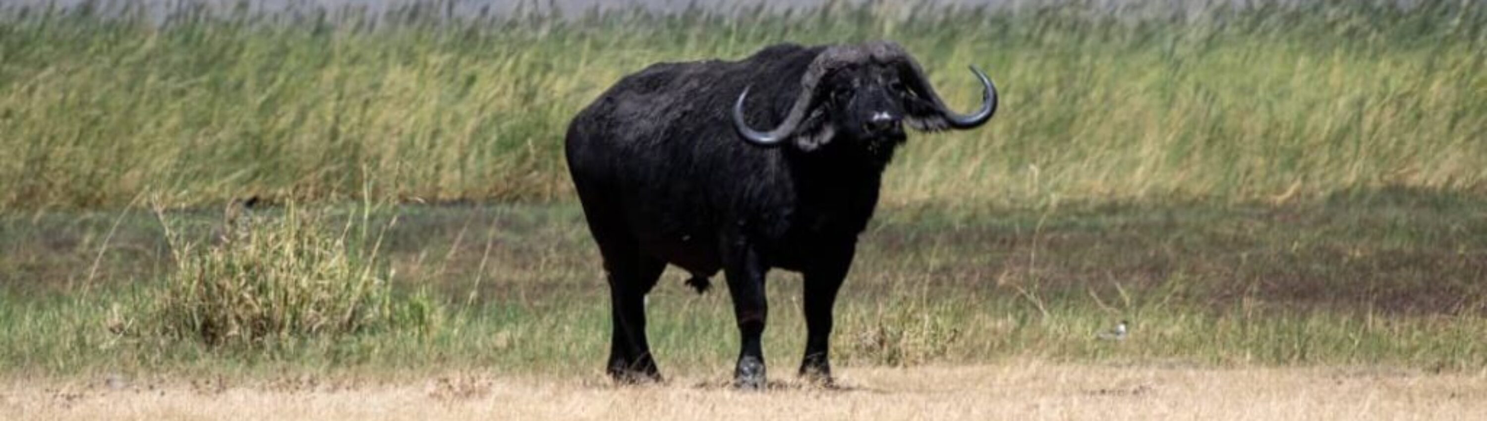 WhatsApp Image 2025-10-08 at 20.57.18 (1)