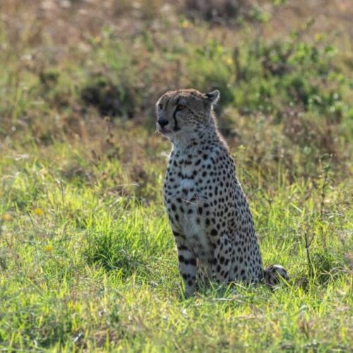 WhatsApp Image 2025-10-08 at 20.57.20 (1)