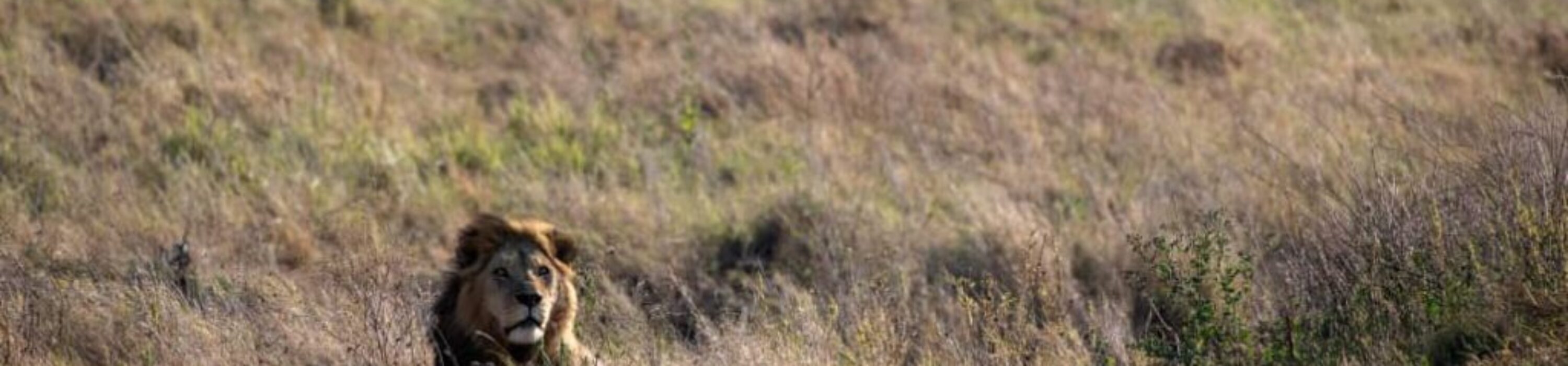 WhatsApp Image 2025-10-08 at 20.57.20 (2)