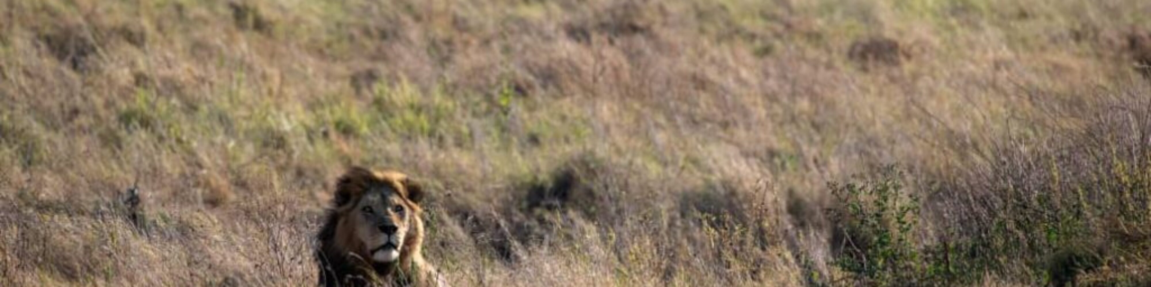 WhatsApp Image 2025-10-08 at 20.57.20 (2)