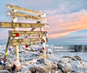 Less known but stunning, the Lemosho Route starts in the west, passing glades where wildlife can be spotted.