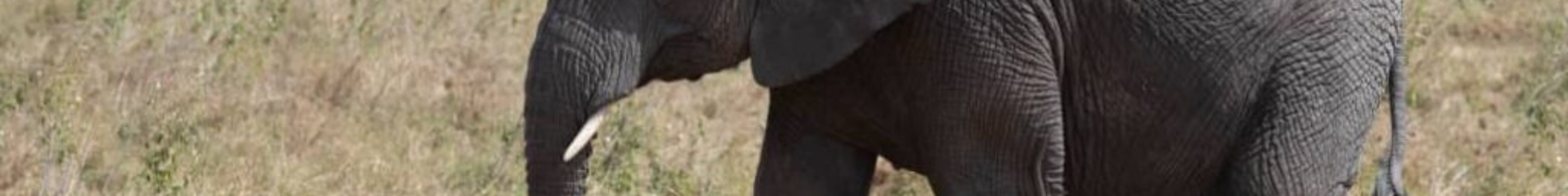 WhatsApp Image 2025-10-08 at 20.57.21 (2)